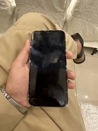 Apple iPhone 12 Pro Max