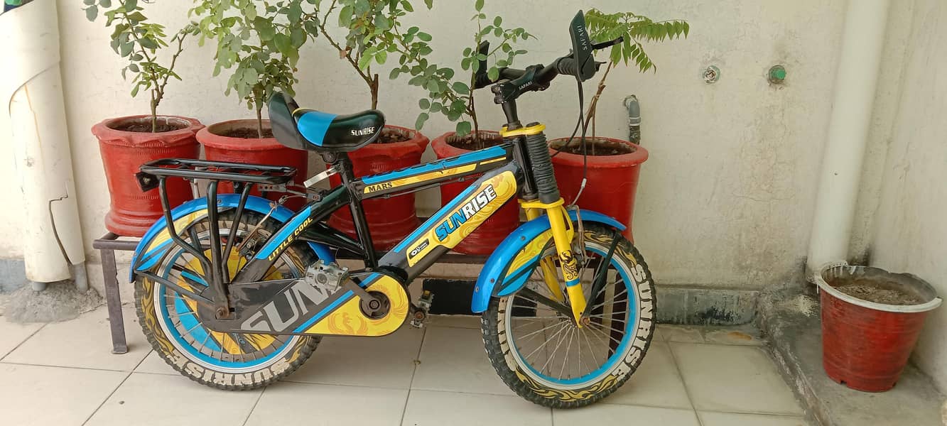 Cycle 0