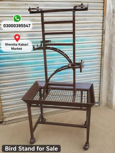Talking Parrot Stand For sale