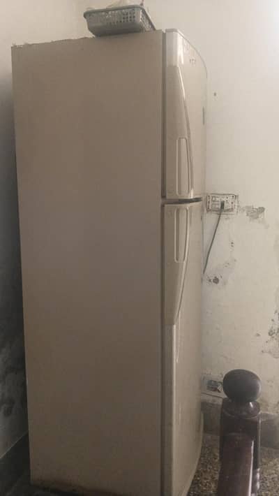 fredg for sale