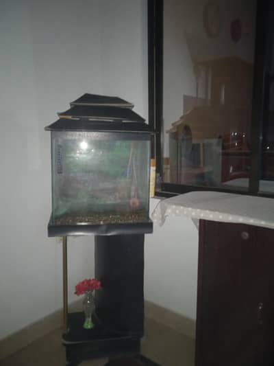Aquarium for sale