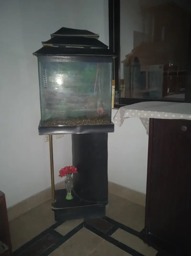 Aquarium for sale — photo 2