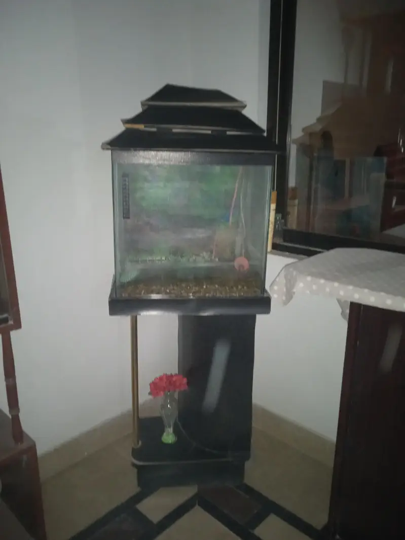 Aquarium for sale — photo 3