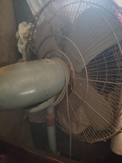 fan for sale