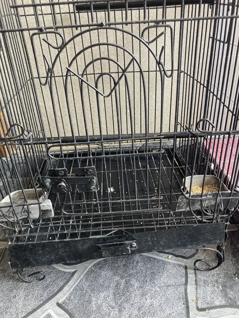 Fancy cage for sell — photo 2