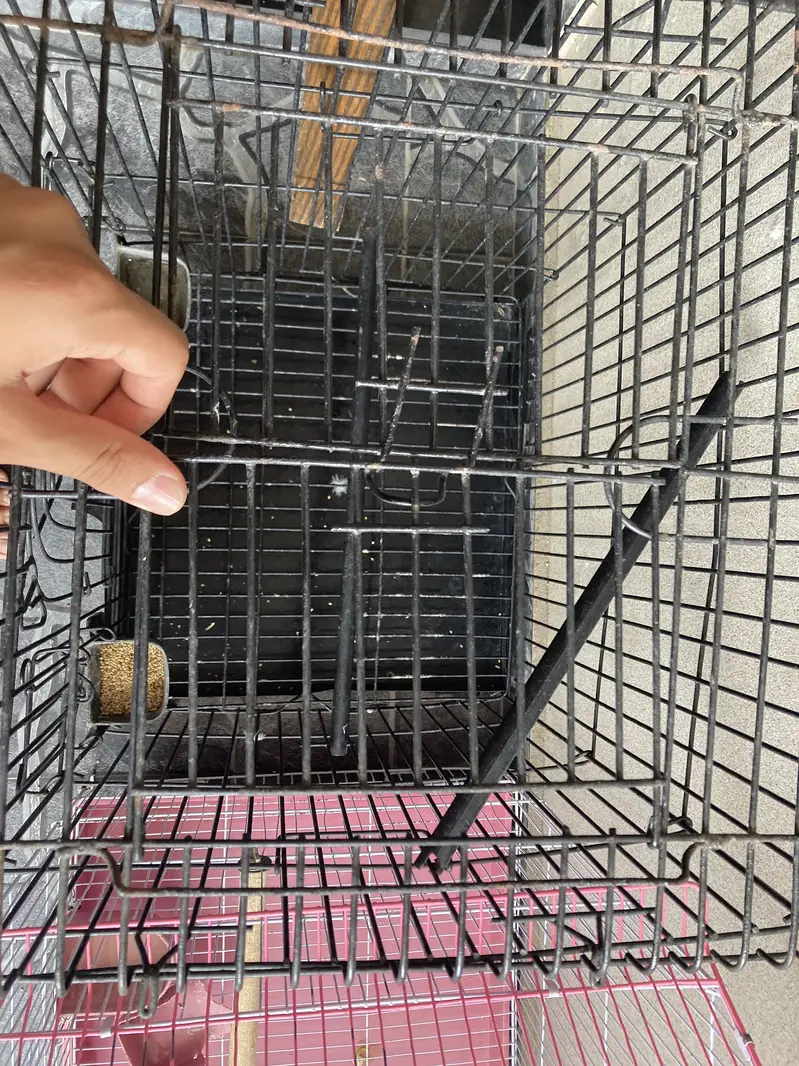 Fancy cage for sell — photo 3