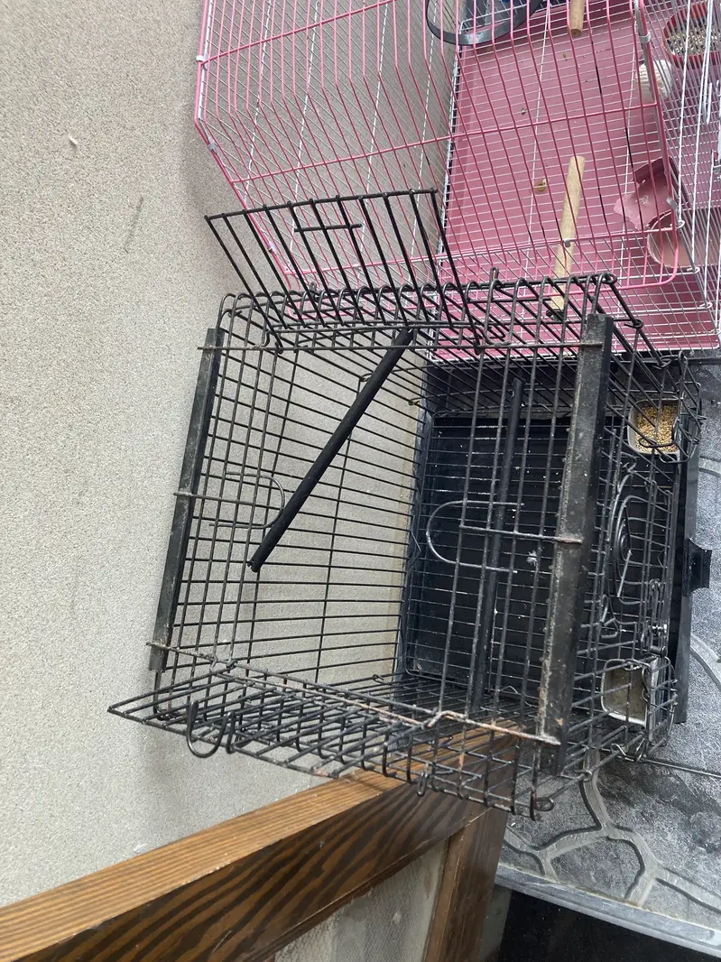 Fancy cage for sell — photo 4