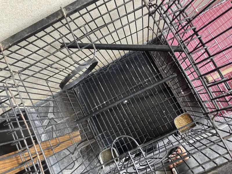 Fancy cage for sell — photo 5
