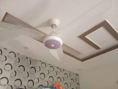 ceiling fans SK used for 1 year