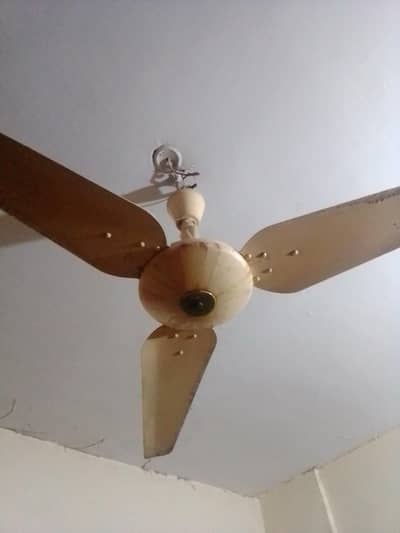 Royal fan (Cooper winding) use like new
