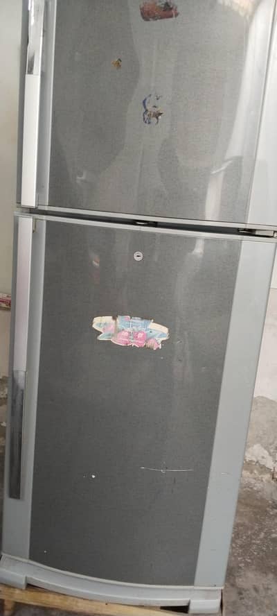 fridge large size
