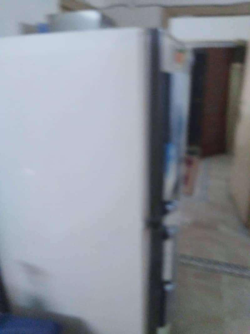 freige 1
