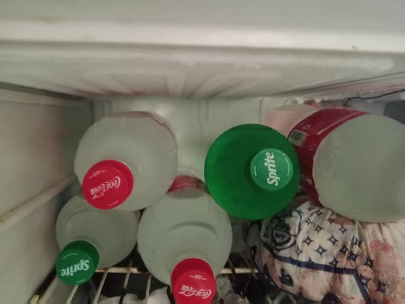 Fridge 1