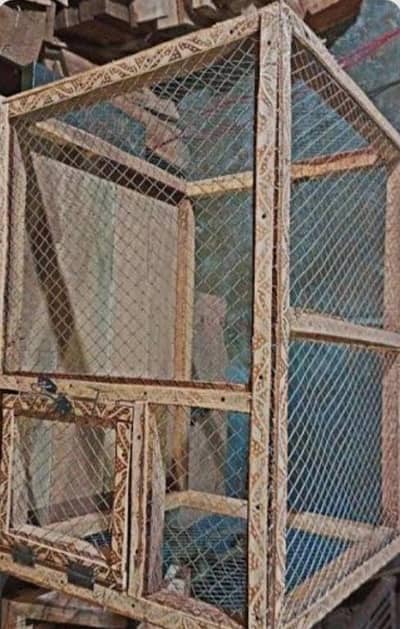 Hens cats finches parrot cages