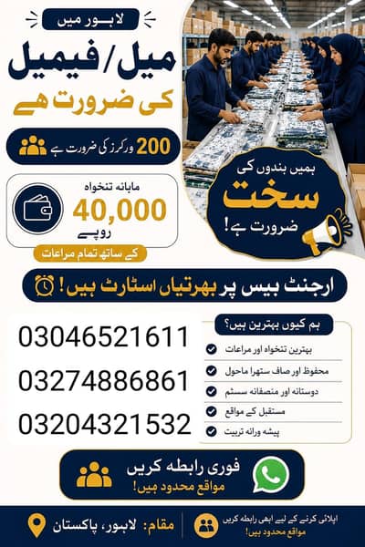 job hi jobz 03046521611