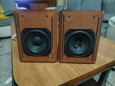 Pioneer speakers