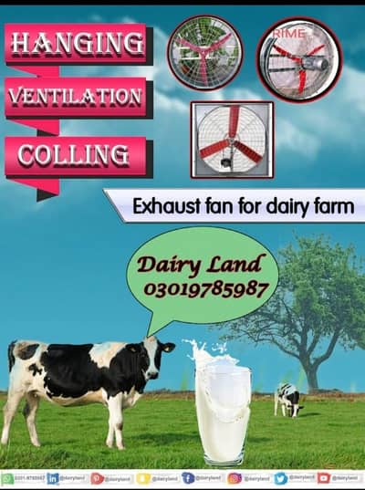 DairyLand