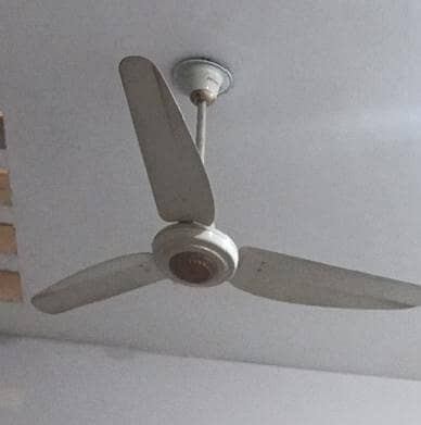 Pak Fan