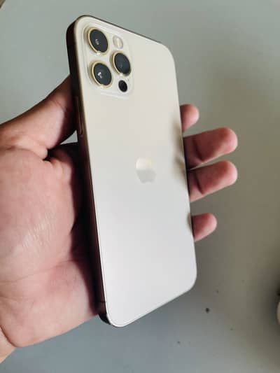 Iphone 12 pro 128 gb pta approved