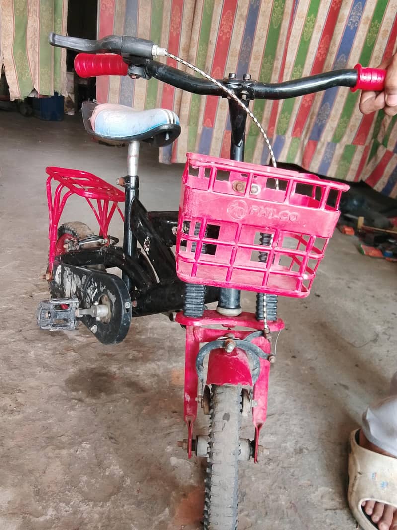 bicycle 2