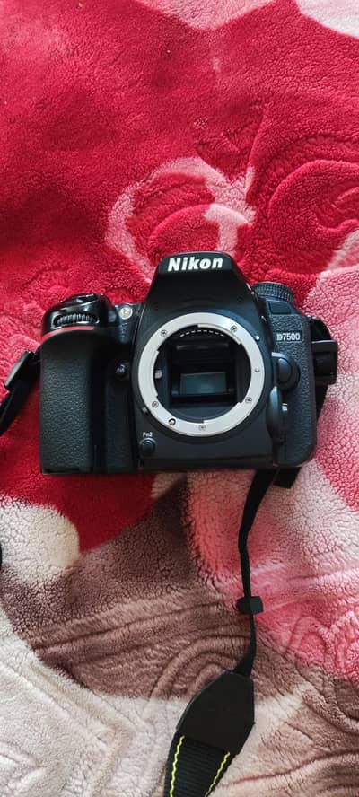 Nikon D 7500 Lash condition Shutter Count only 46000