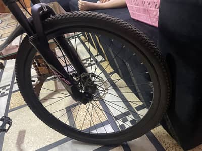 LEHUHW bicycle 2025