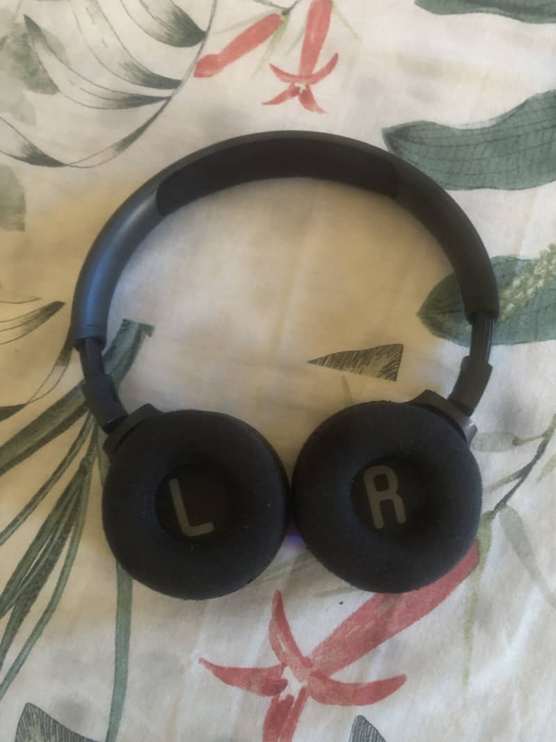 Jbl headfones 2