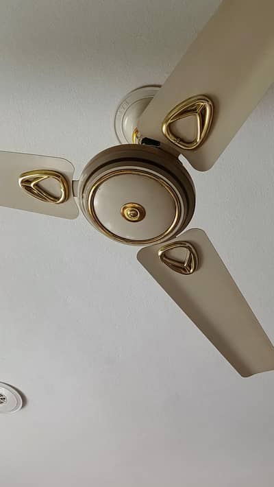 celling Fans.