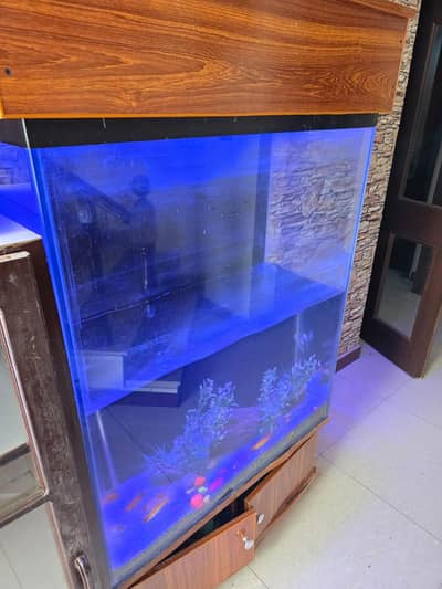 AQUARIUM FOR SALE