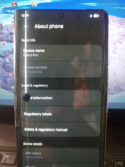 Google pixel 6 pro panel 2500 Work bilkul sahi chal reha ap log check