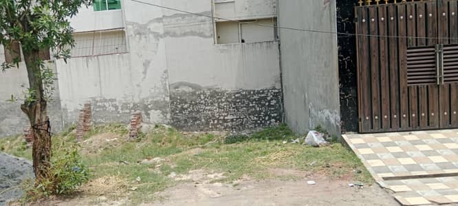 3 merla Polt For sale AA vital home