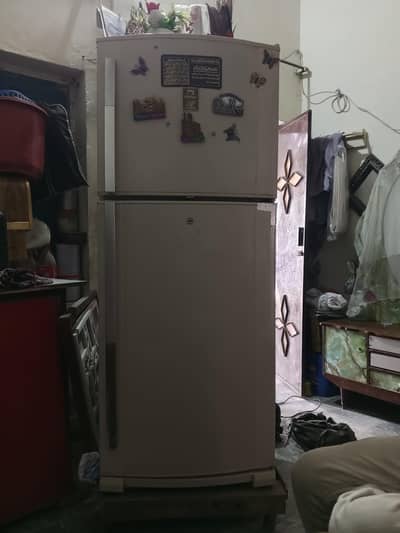 03024572554