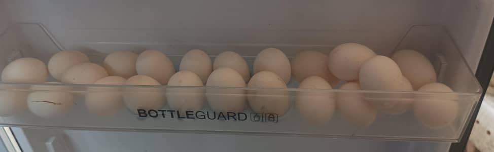 Duck eggs