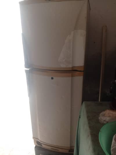 pel fridge medium
