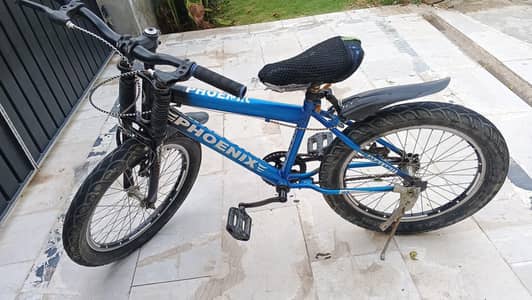 Phoenix bicycle for sale