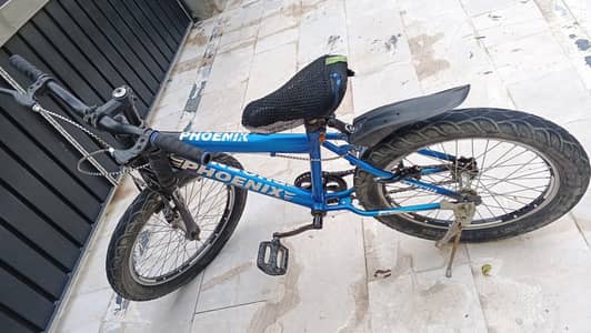 Phoenix bicycle for sale