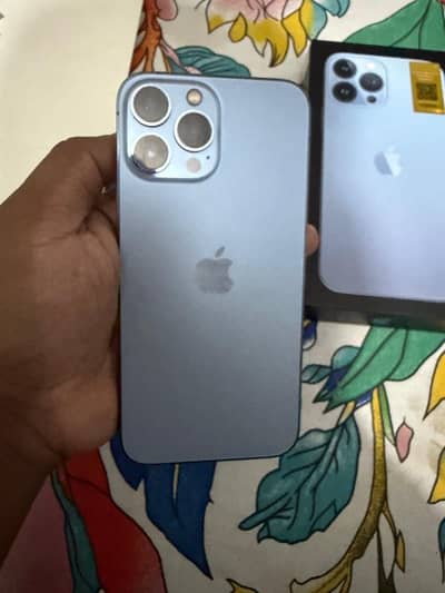 13 pro max