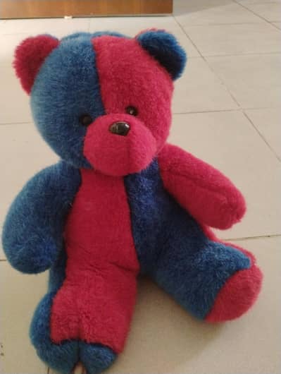 cute bear