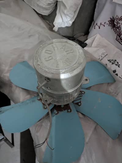 Gohar Fan