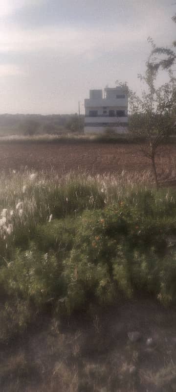 Sun Face Plot With Ideal Access For Sale