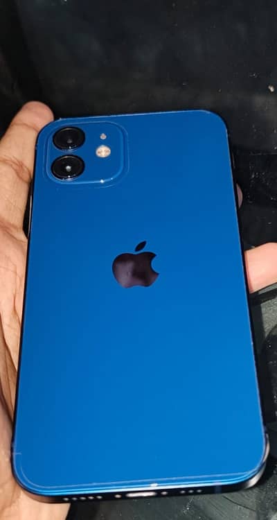 Apple iPhone 12