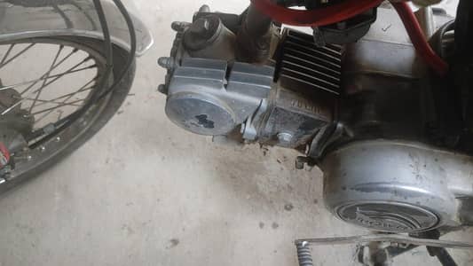 CD70 CROWN