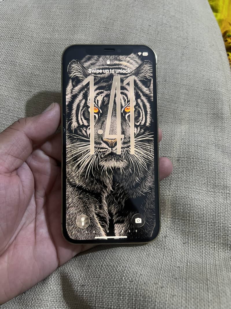 Apple iPhone 12 Pro 1