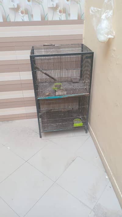 Double decker bird cage