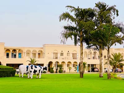 5 Marla Possession Plot Available in A Block Phase 2