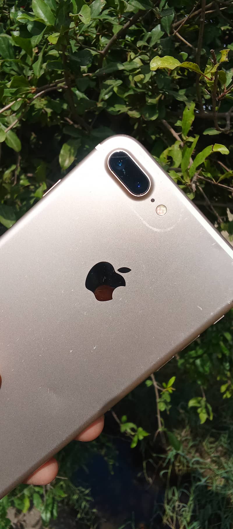 Apple iPhone 7 Plus 0