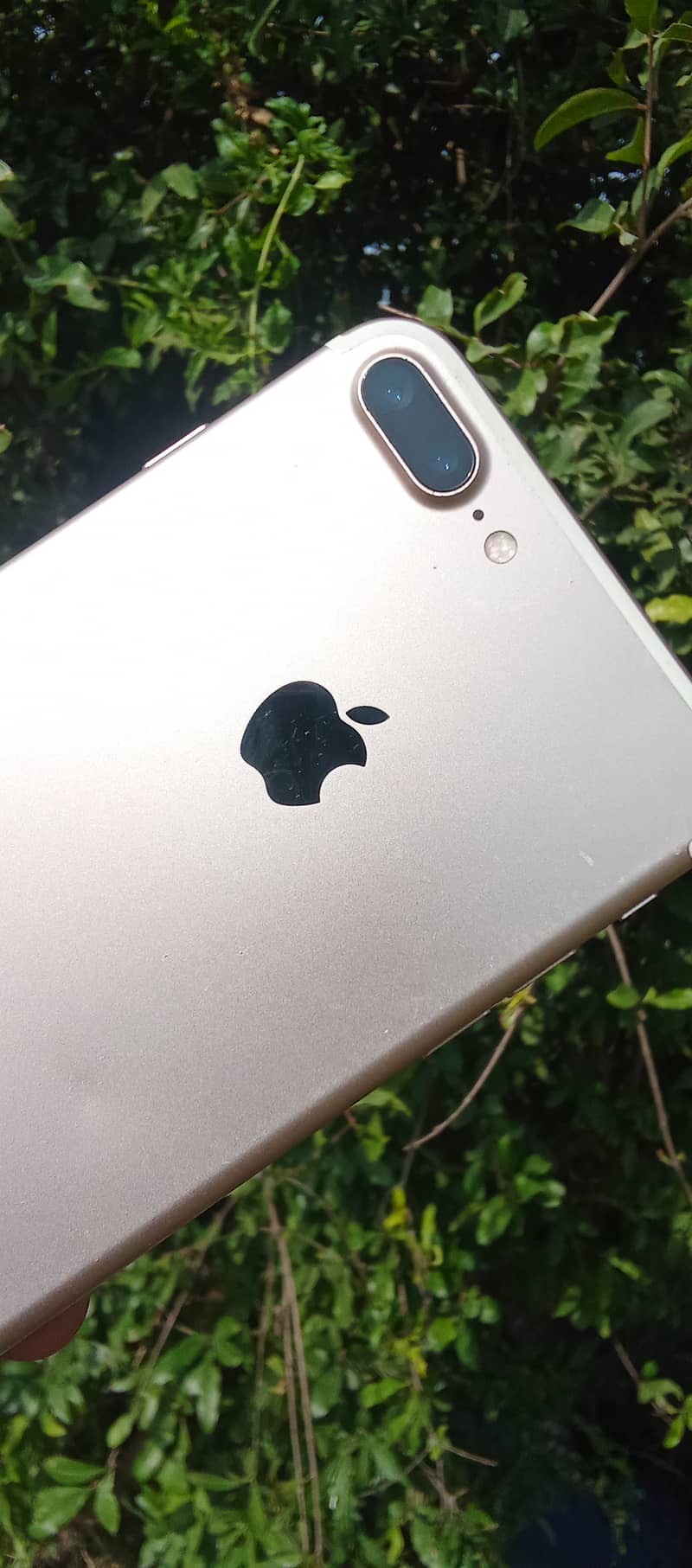 Apple iPhone 7 Plus 1