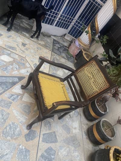 Wooden chairs