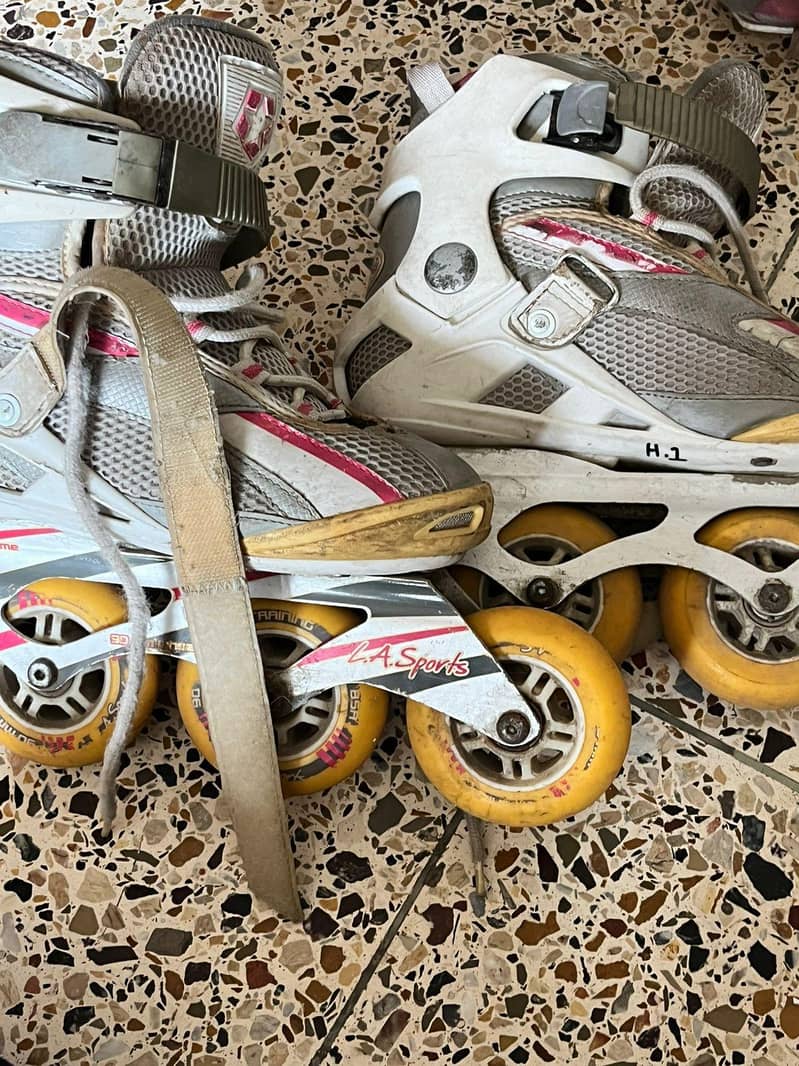 skates 3