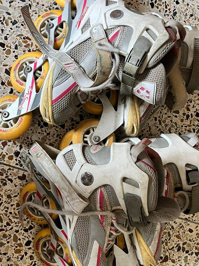 skates 4